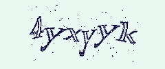 認証画像